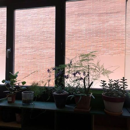 Logement De Charme Aux Carmes 툴루즈 외부 사진