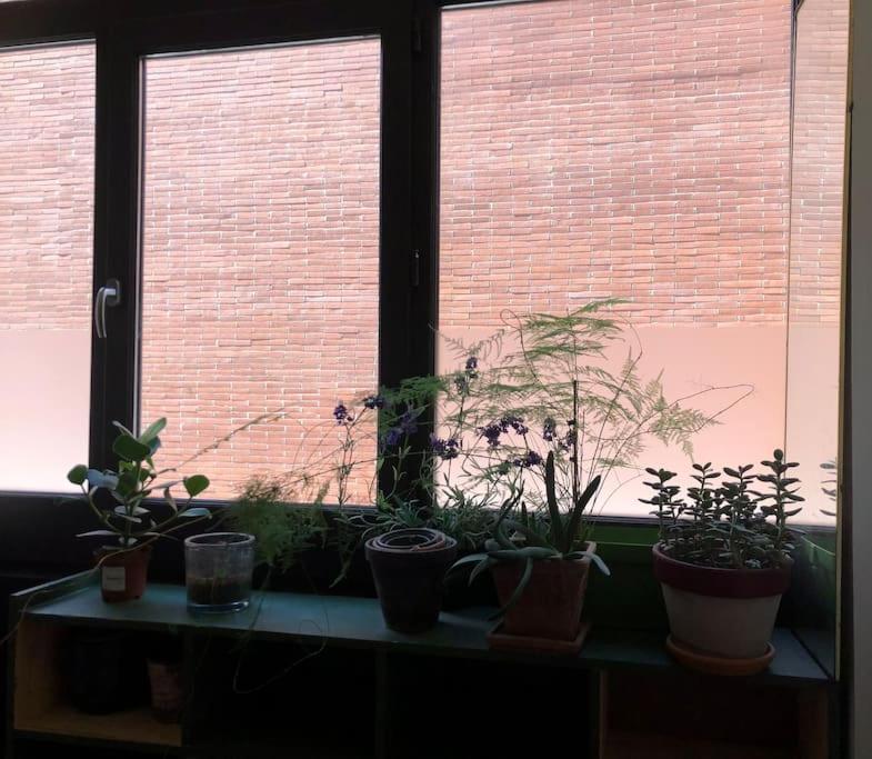 Logement De Charme Aux Carmes 툴루즈 외부 사진